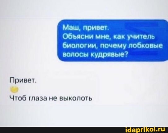 Маш, привет
Обясни мне, как учитель
биологии, почему лобковые волосы кудрявые?
Привет.
Чтоб глаза не выколоть