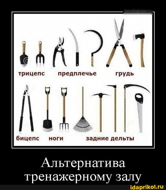 трицепс предплечье грудь
бицепс ноги задние дельты
Альтернатива
тренажерному залу