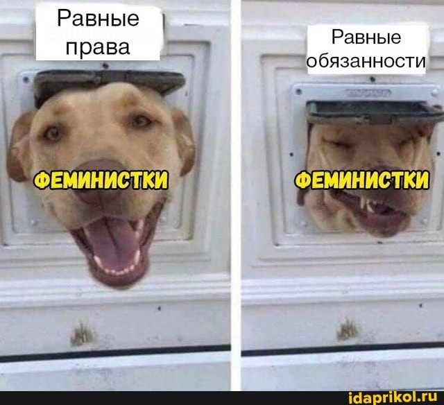 Равные
- права Равные
- 'обязанности
