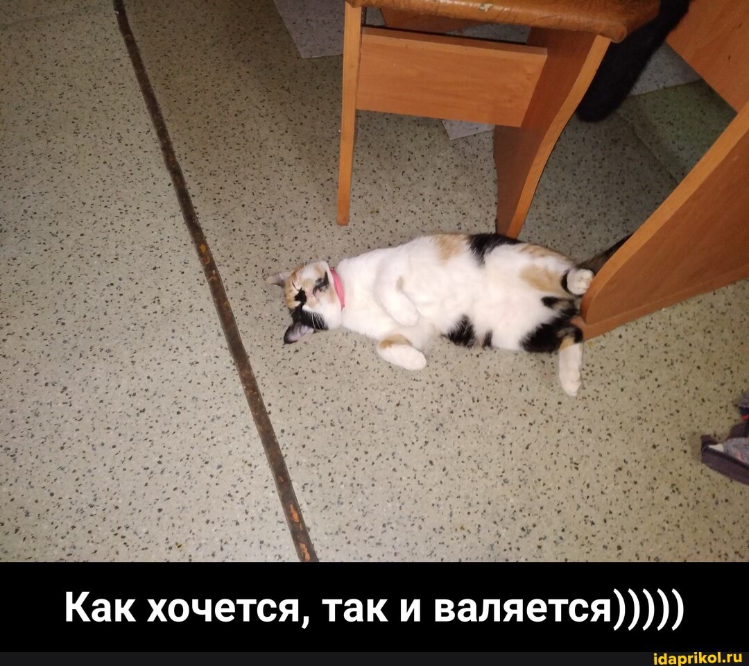 Как хочется, так и валяется))))) - Как хочется, так и валяется)))))