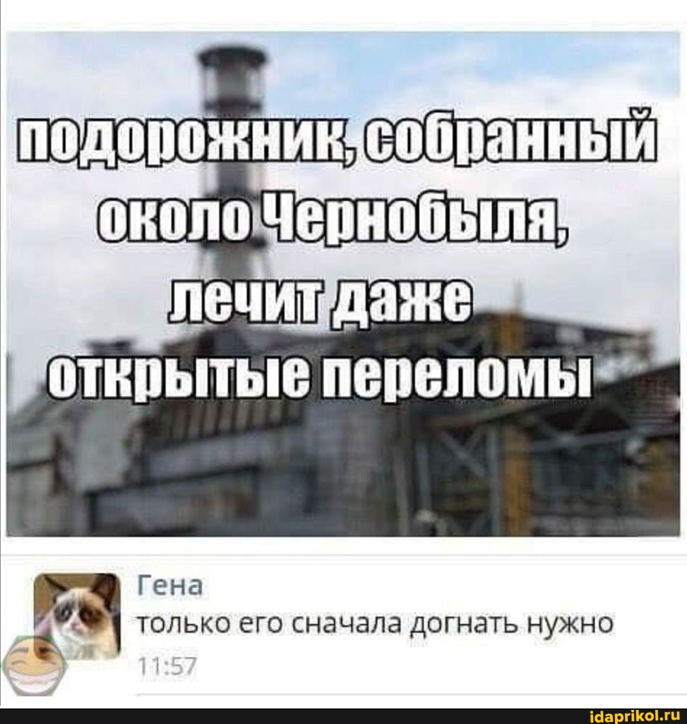 подорожник
открытые переломы"
Гена только его сначала догнать нужно
11257