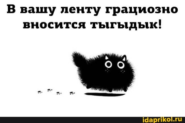 В вашу ленту грациозно вносится тыгыдык!