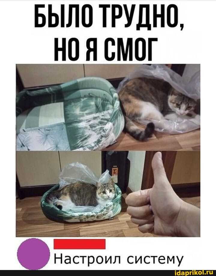 БЫЛО ТРУДНО НОЯ СМОГ.