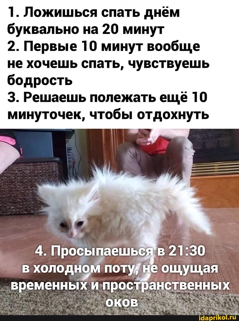 1. Ложишься спать днём буквально на 20 минут
2. Первые 10 минут вообще не хочешь спать, чувствуешь бодрость
3. Решаешь полежать ещё 10 минуточек, чтобы отдохнуть
потуй
временных пространственных
оков