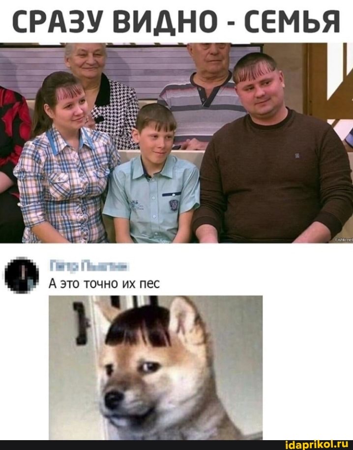 СРАЗУ ВИДНО - СЕМЬЯ
Аэто точно пес