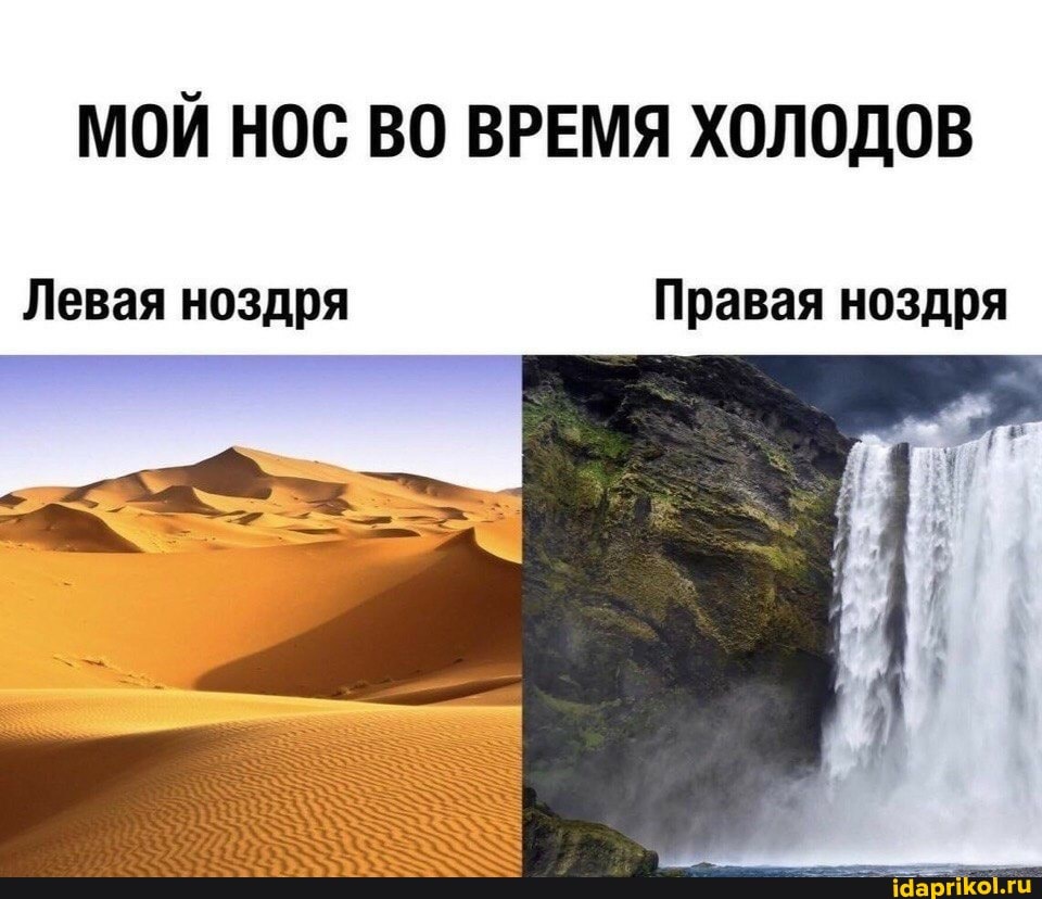 МОЙ НОС ВО ВРЕМЯ ХОЛОДОВ
Левая ноздря Правая ноздря