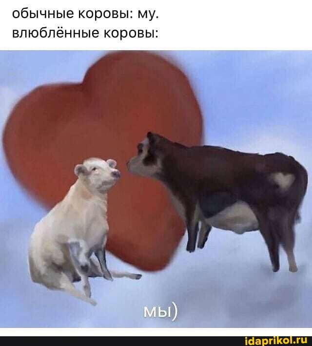 обычные коровы: му.
влюблённые коровы:
мы)