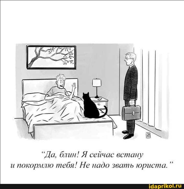 "Да, блин! Я сейчас встану и покормлю тебя! Не надо звать юриста.