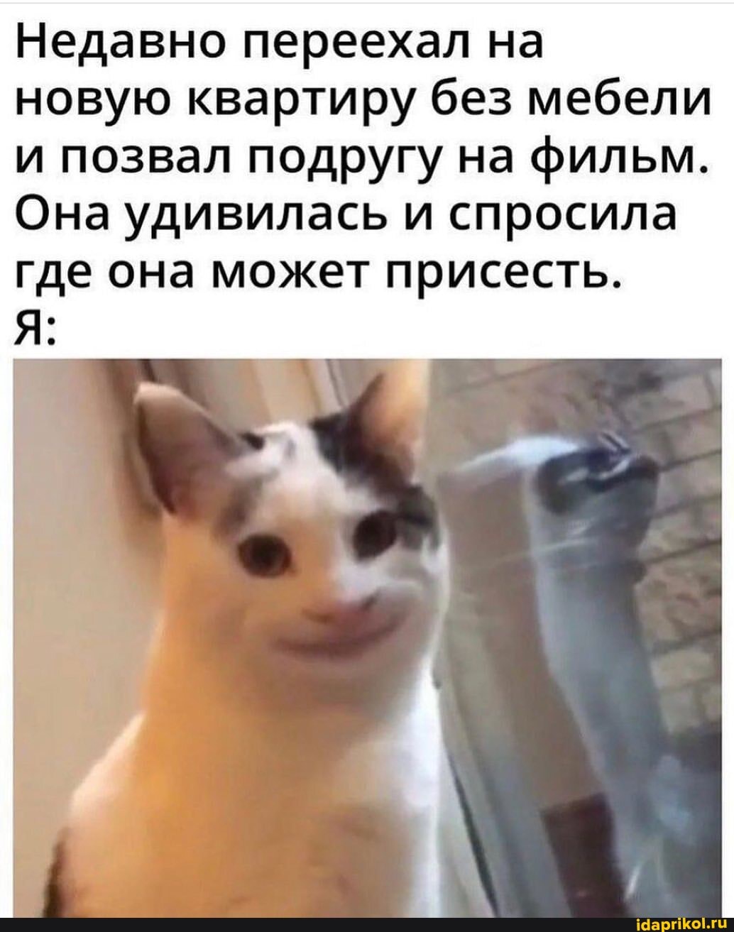 Недавно переехал на новую квартиру без мебели и позвал подругу на фильм.
Она удивилась и спросила где она может присесть.
