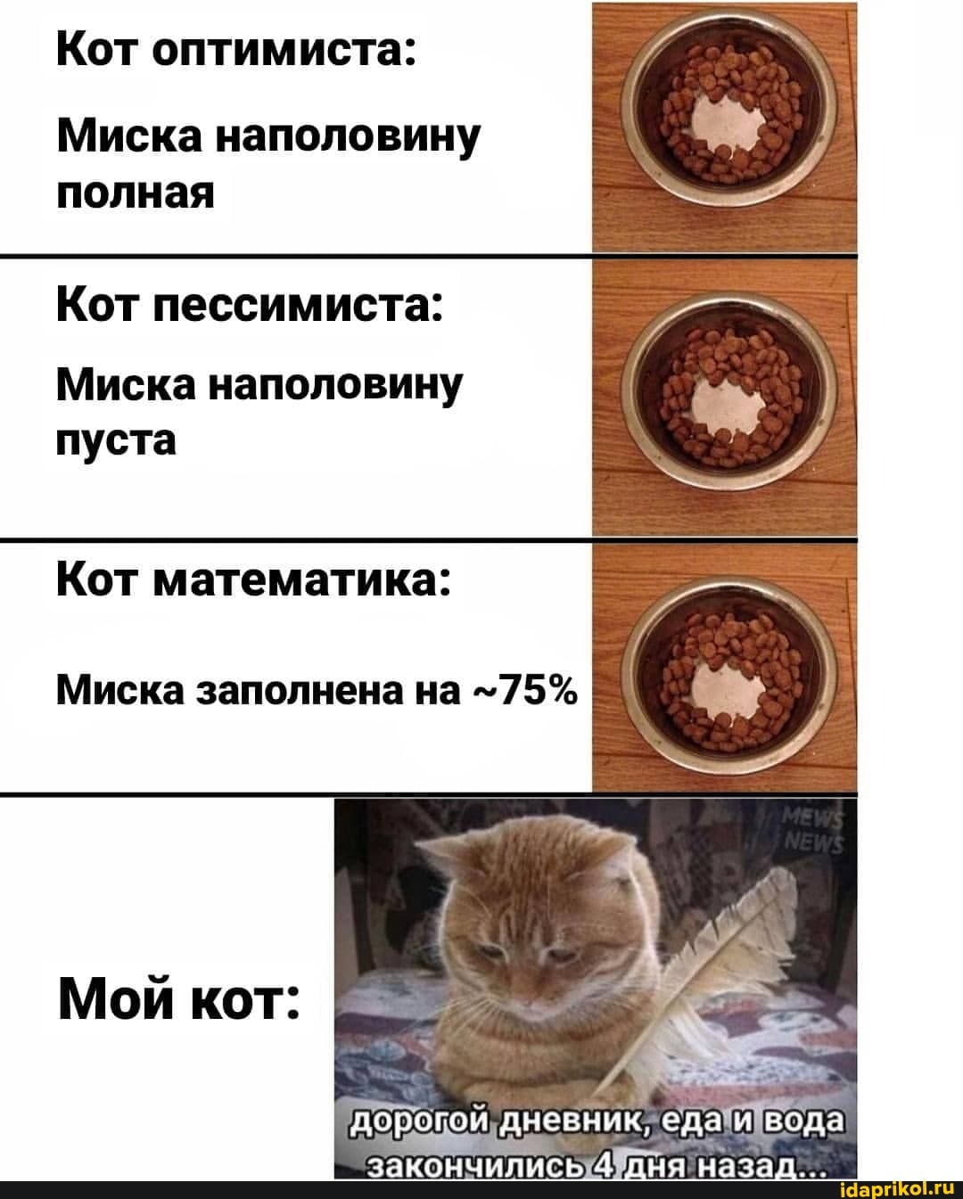 Кот оптимиста:
Миска наполовину полная
Кот пессимиста:
Миска наполовину пуста
Кот математика:
Миска заполнена на 75%
Мой кот:
дорогои дневник, еда вода