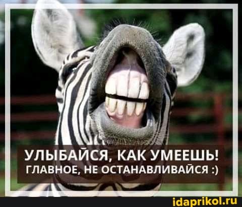 УЛЫБАЙСЯ, КАК УМЕЕШЬ!
ГЛАВНОЕ, НЕ ОСТАНАВЛИВАЙСЯ