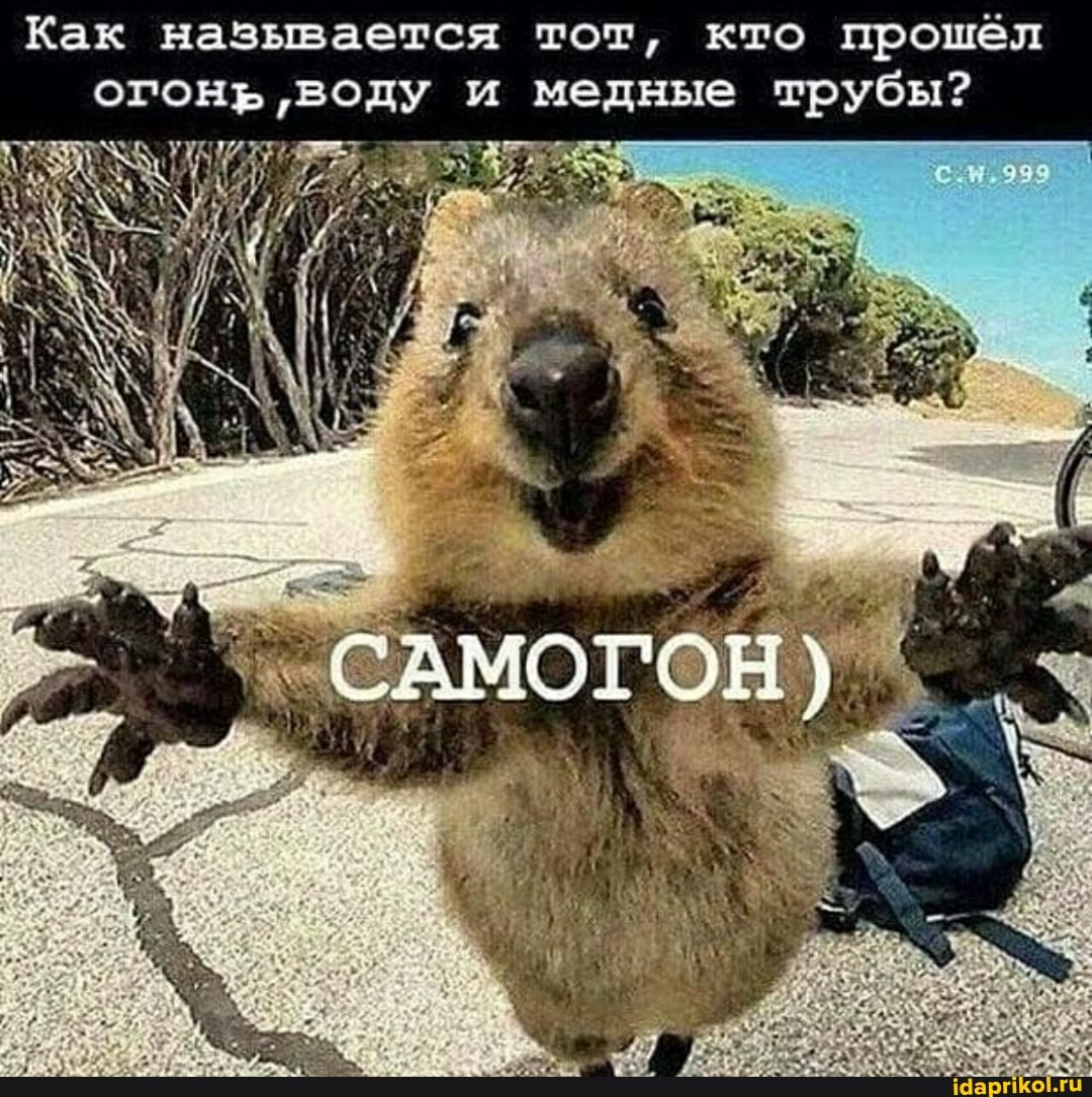 Как называется тот, кто прошёл огонь и медные трубы?