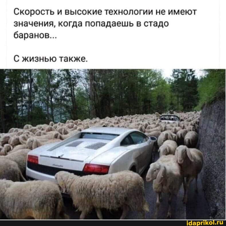 Скорость и высокие технологии не имеют значения, когда попадаешь в стадо баранов...
С жизнью также.