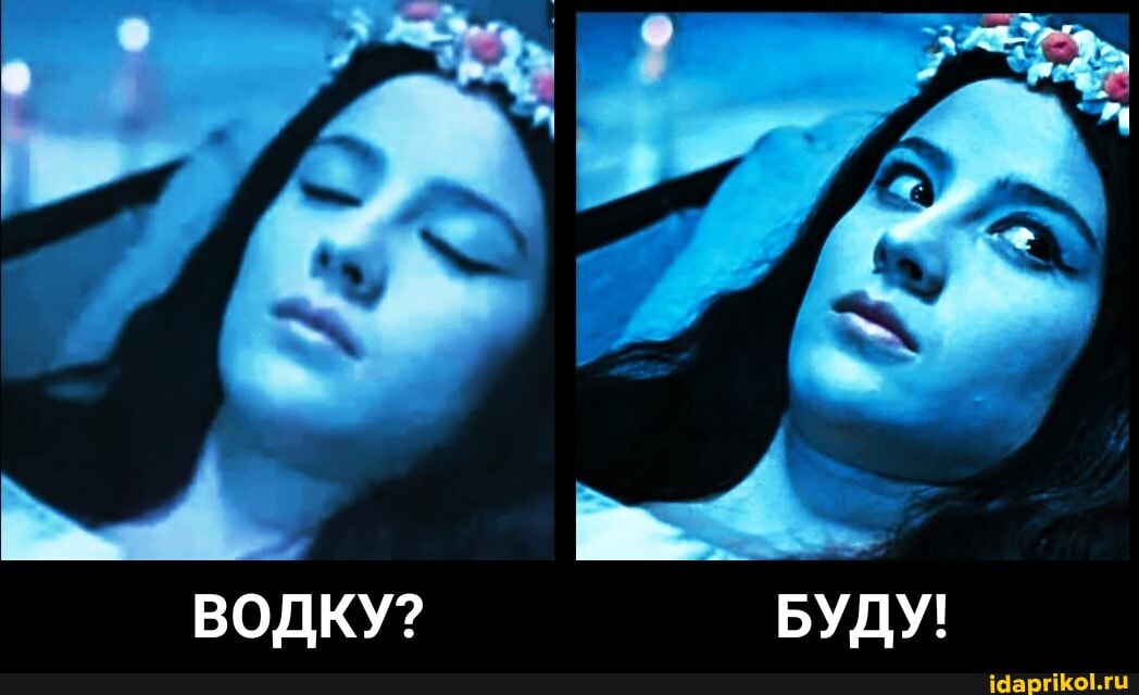 ВОДКУ? БУДУ! - ВОДКУ? БУДУ!