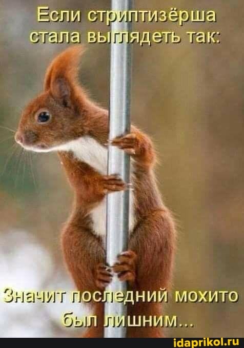 ели, отала выглядеть так:
лоспедний был