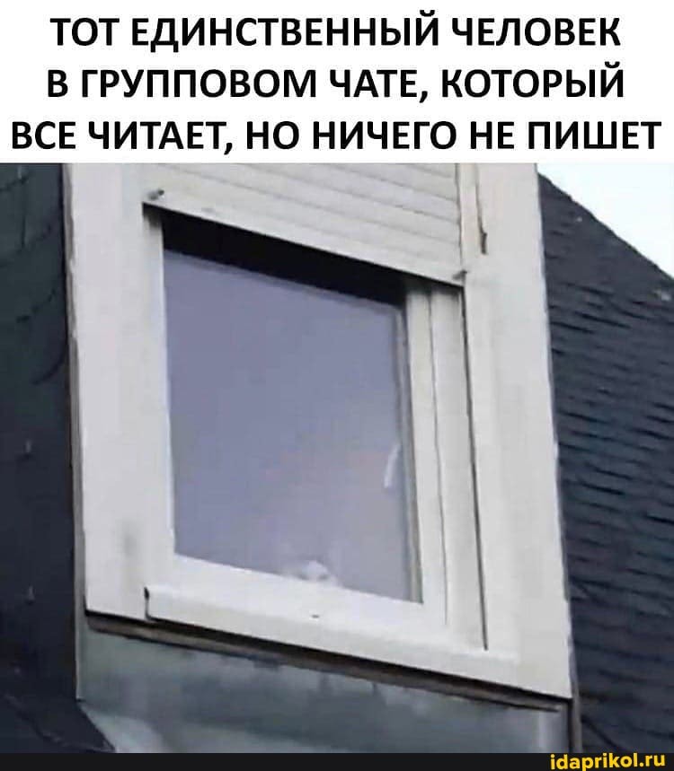 ТОТ ЕДИНСТВЕННЫЙ ЧЕЛОВЕК В ГРУППОВОМ ЧАТЕ, КОТОРЫЙ ВСЕ ЧИТАЕТ, НО НИЧЕГО НЕ ПИШЕТ