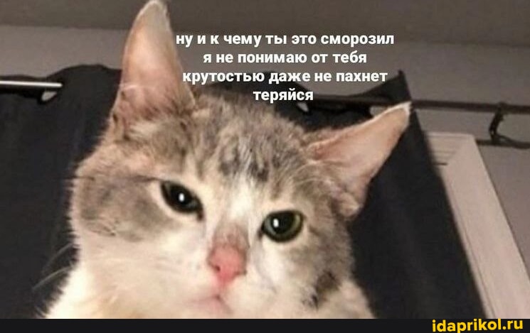 417d3df27e1b68c3b4485a5ae5c75bc8140ba7773b01b67b9a766baef97fcc9c_1.jpg