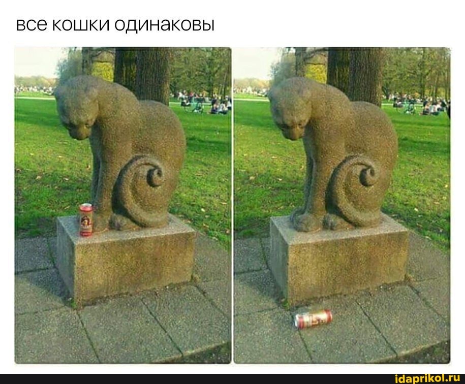 все кошки одинаковы