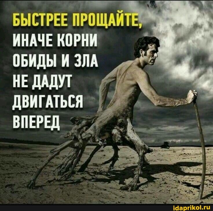 БЫСТРЕЕ ПРОЩАЙ
ИНАЧЕ КОРНИ
ОБИДЫ И ЗЛА