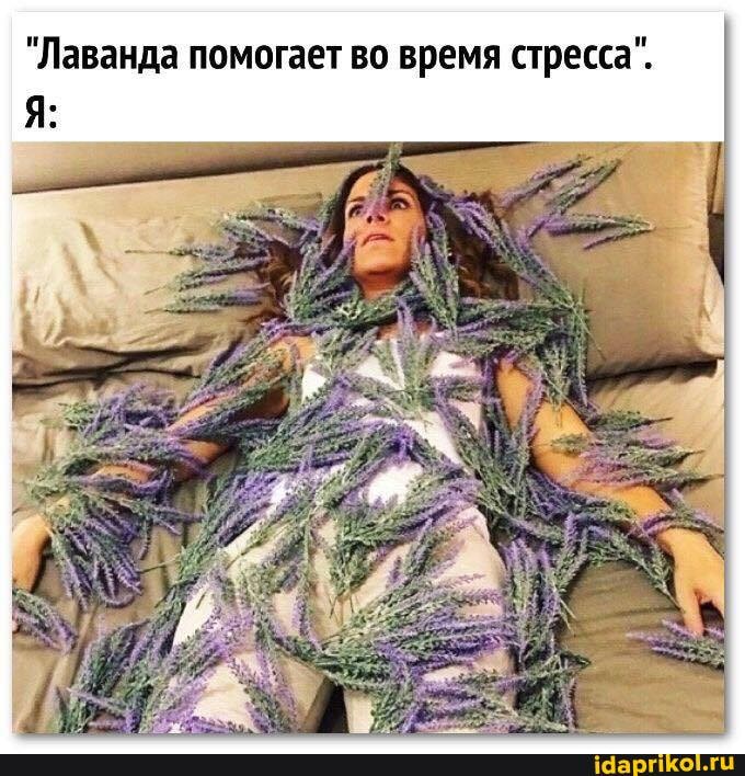 "Лаванда помогает во время стресса".