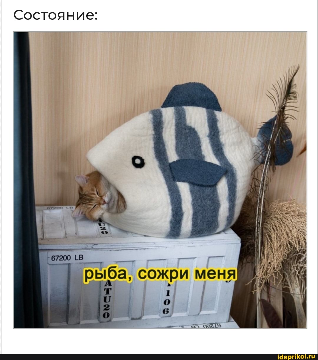 Состояние:
Ыба, сожби меня