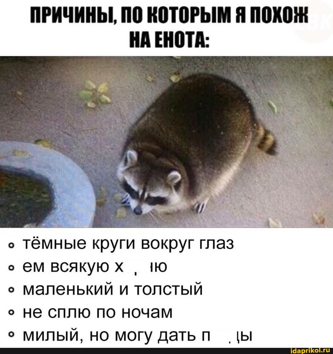 ПРИЧИНЫ, ПО КОТОРЫМ Я ПОХОЖ НА ЕНОТА:
тёмные круги вокруг глаз ем всякую маленький и толстый
не сплю по ночам
милый, но могу датьп цы