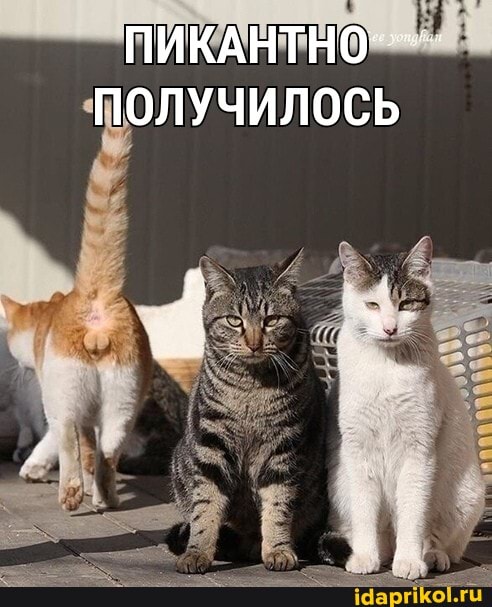 ПИКАНТНО--
ПОЛУЧИЛОСЬ