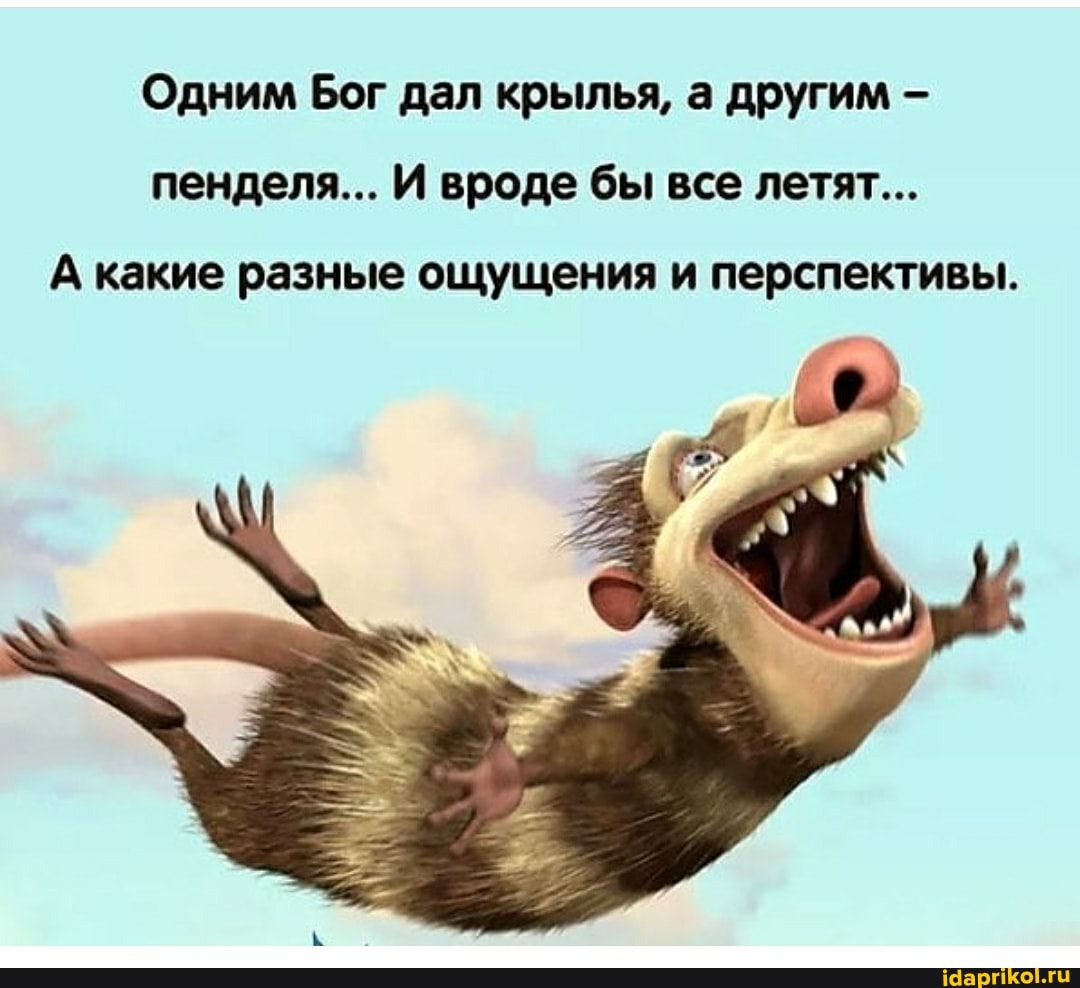 Одним Бог дал крылья, а другим -
пенделя... И вроде бы все летят...
А какие разные ощущения и перспективы.