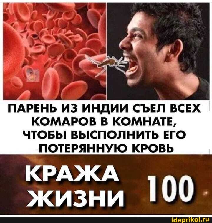 ПАРЕНЬ ИЗ ИНДИИ СЪЕЛ ВСЕХ
КОМАРОВ В КОМНАТЕ,
ЧТОБЫ ВЫСПОЛНИТЬ ЕГО
ПОТЕРЯННУЮ КРОВЬ