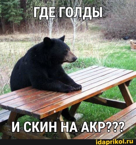 ГДЕ ГОЛДЫ
И СКИН НА АКР???