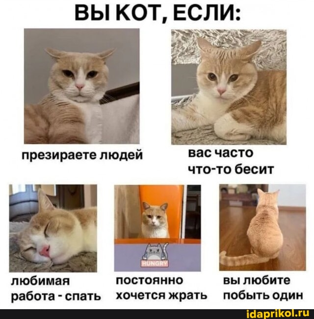 Жапондық жас әйелдердің жалаңаш бейнелері