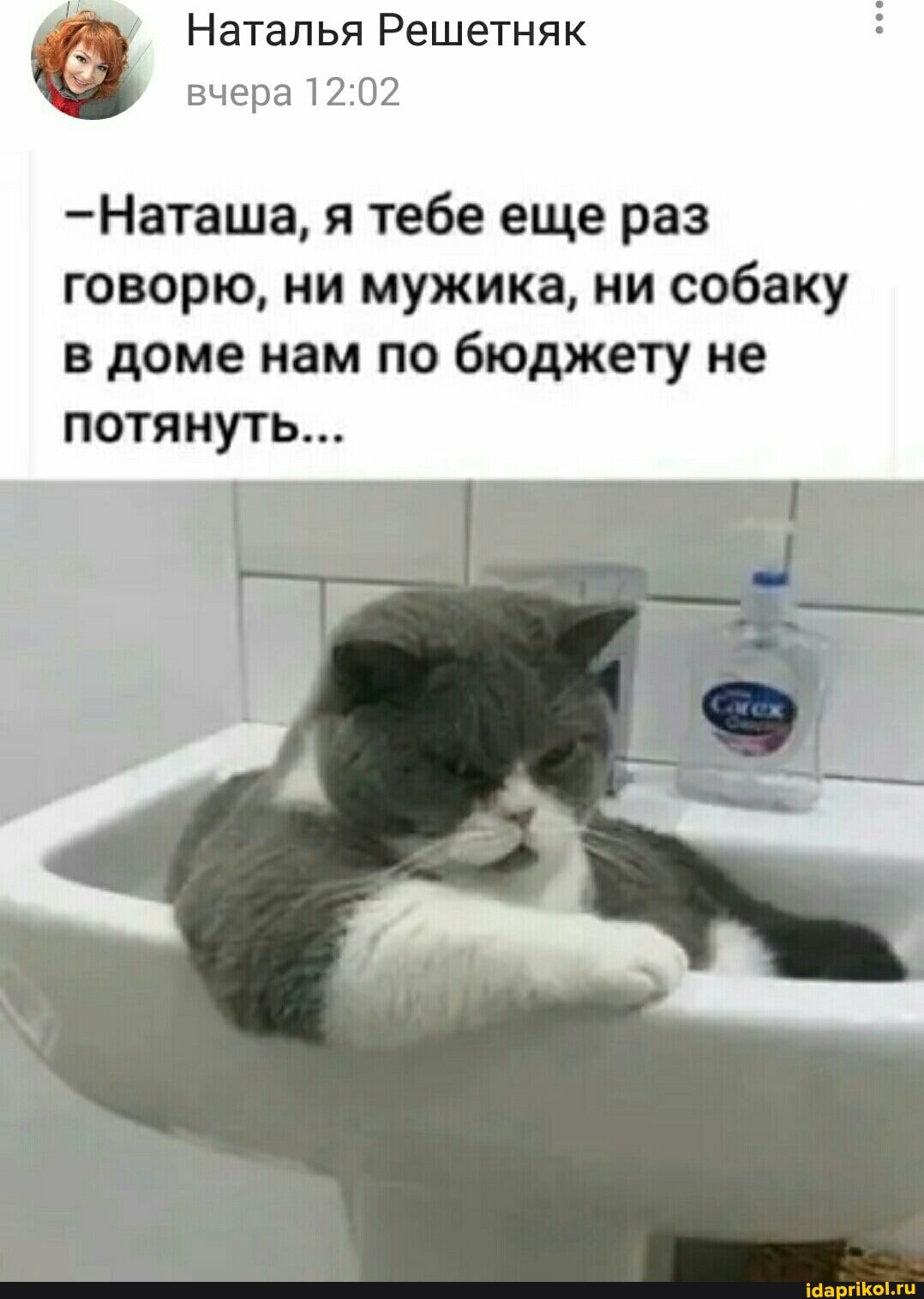 Наталья Решетняк вчера
-Наташа, я тебе еще раз говорю, ни мужика, ни собаку в доме нам по бюджету не потянуть...