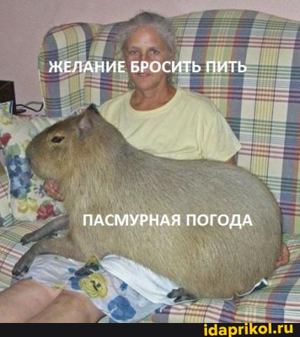 ЖЕЛАНИЕ БРОСИТЬ ПИТЬ
ПАСМУРНАЯ ПОГОДА