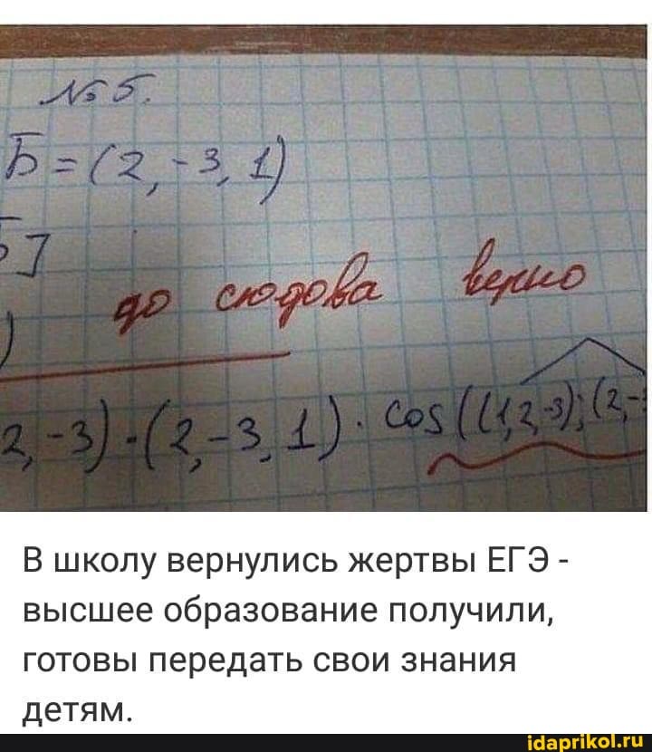 В школу вернулись жертвы ЕГЭ - высшее образование получили, готовы передать свои знания детям.