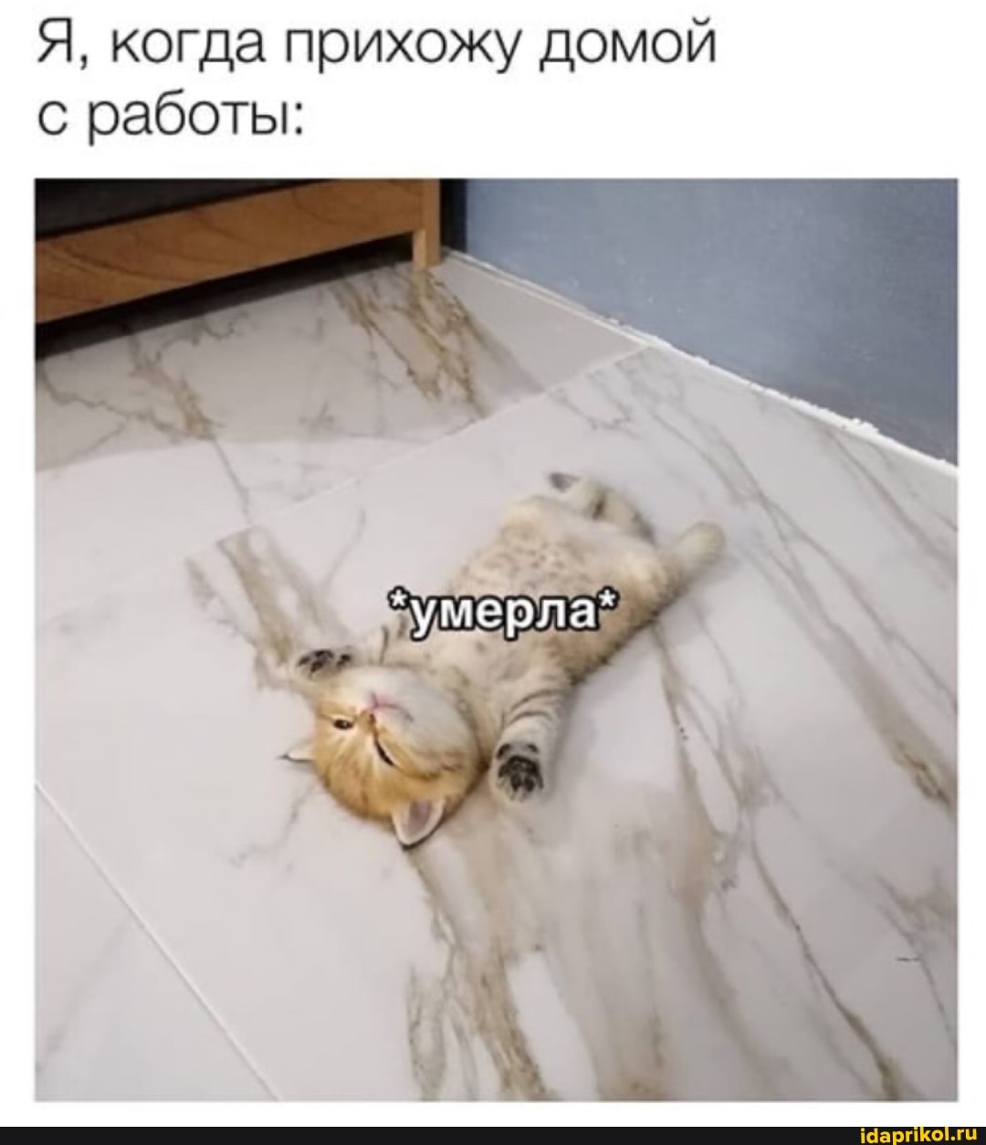 Я, когда прихожу домой с работы:
'умерла`