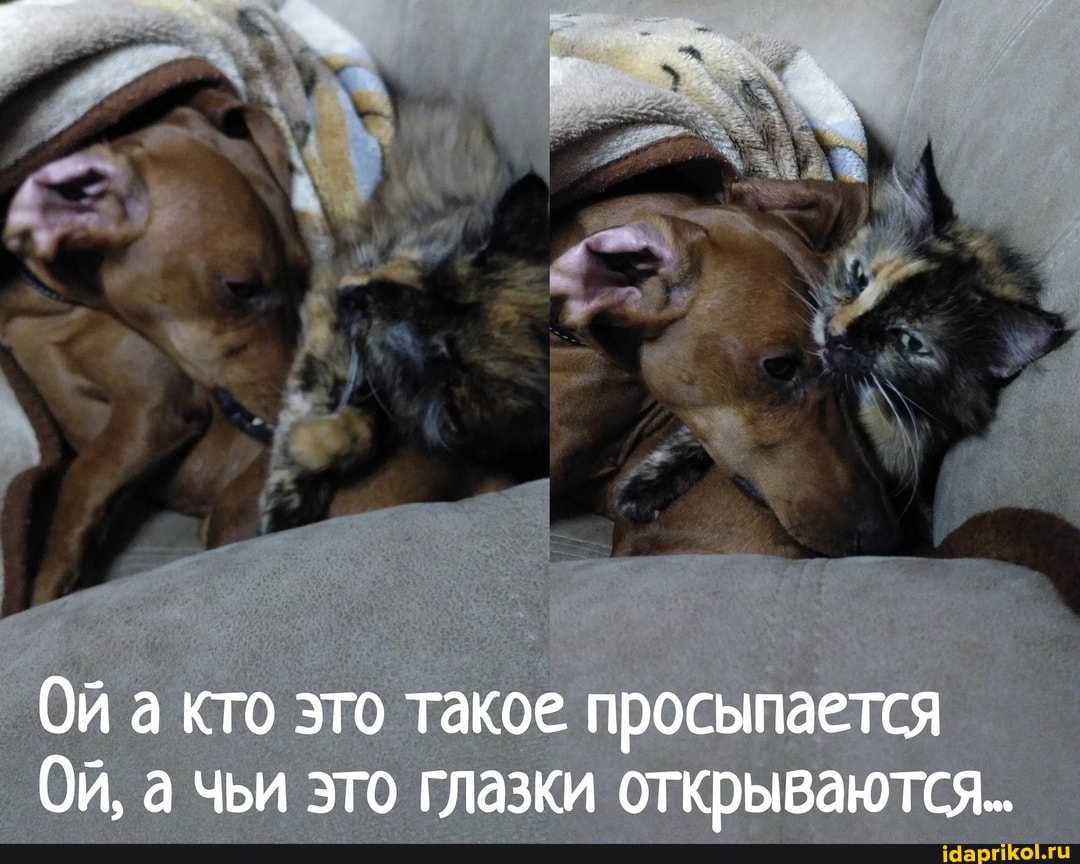 Ой акго это такое просыпается
Ой, а чьи это глазки открываются.