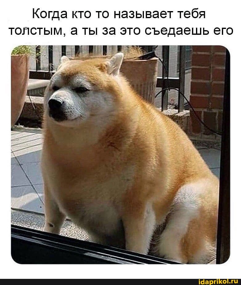 Когда кто то называет тебя толстым, а ты за это седаешь его