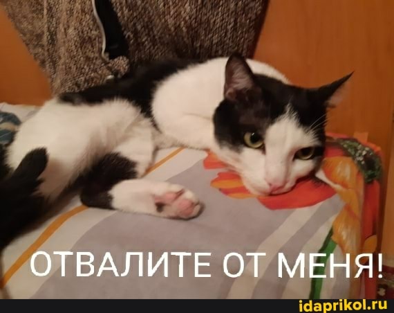 ОТВАЛИТЕ ОТ МЕНЯ!