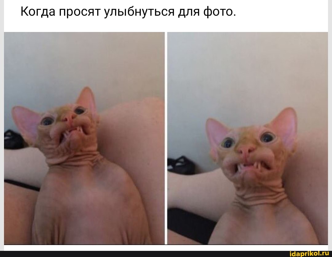 Когда просят улыбнуться для фото.
