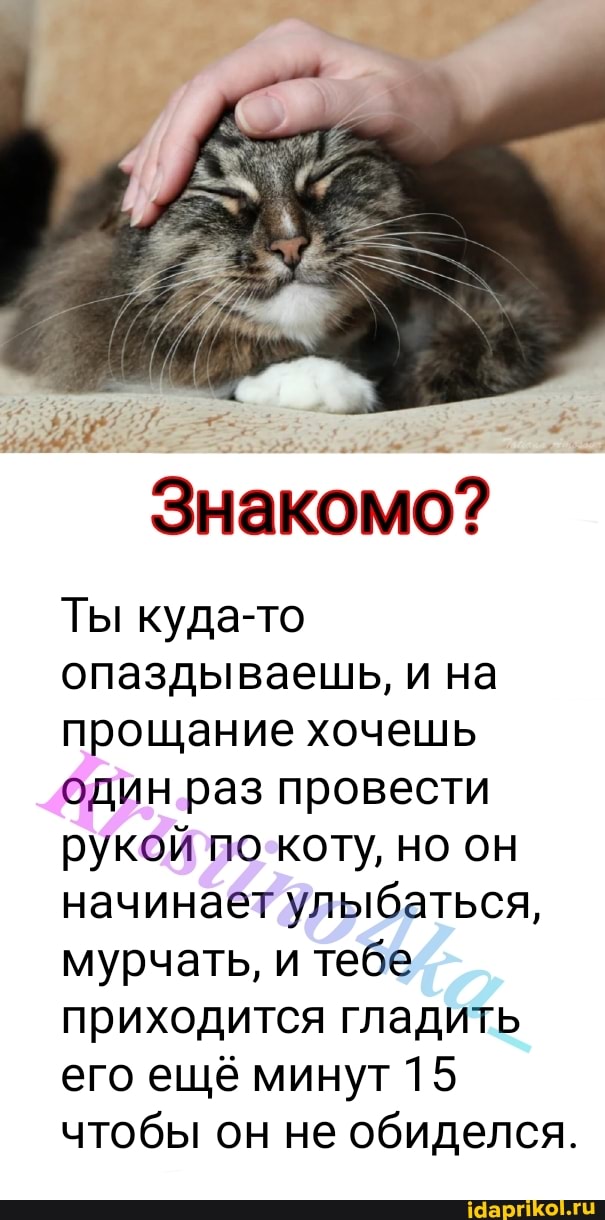 Знакомо?
Ты куда-то опаздываешь, и на прощание хочешь один раз провести рукой по коту, но он начинает улыбаться, мурчать, и тебе приходится гладить его ещё минут 15 чтобы он не обиделся.
