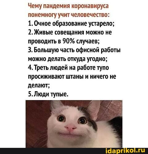 Чему пандемия коронавируса понемногу учит человечество:
1. Очное образование устарело;
2. Живые совещания можно не проводить в 90% случаев;
3. Большую часть офисной работы можно делать откуда угодно;
4. Треть людей на работе тупо просиживают штаны и ничего не делают;
5.Люди тупые.