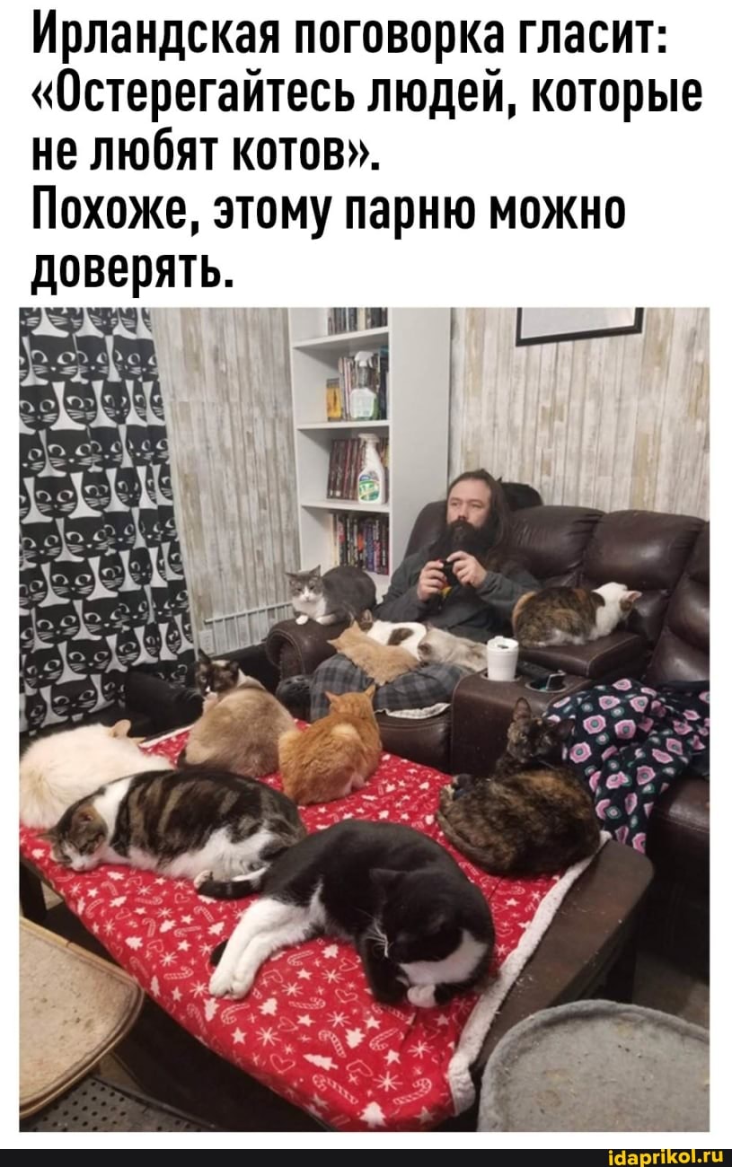 Ирландская поговорка гласит:
"Остерегайтесь людей, которые не любят котов".
Похоже, этому парню можно доверять.