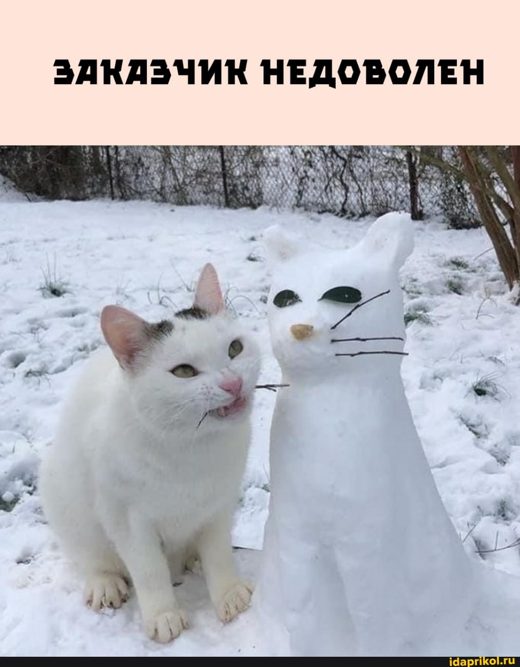 ЗАКАЗЧИК НЕДОВОЛЕН