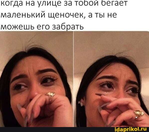 когда на улице за тооои
маленький щеночек, аты не
можешь его забрать