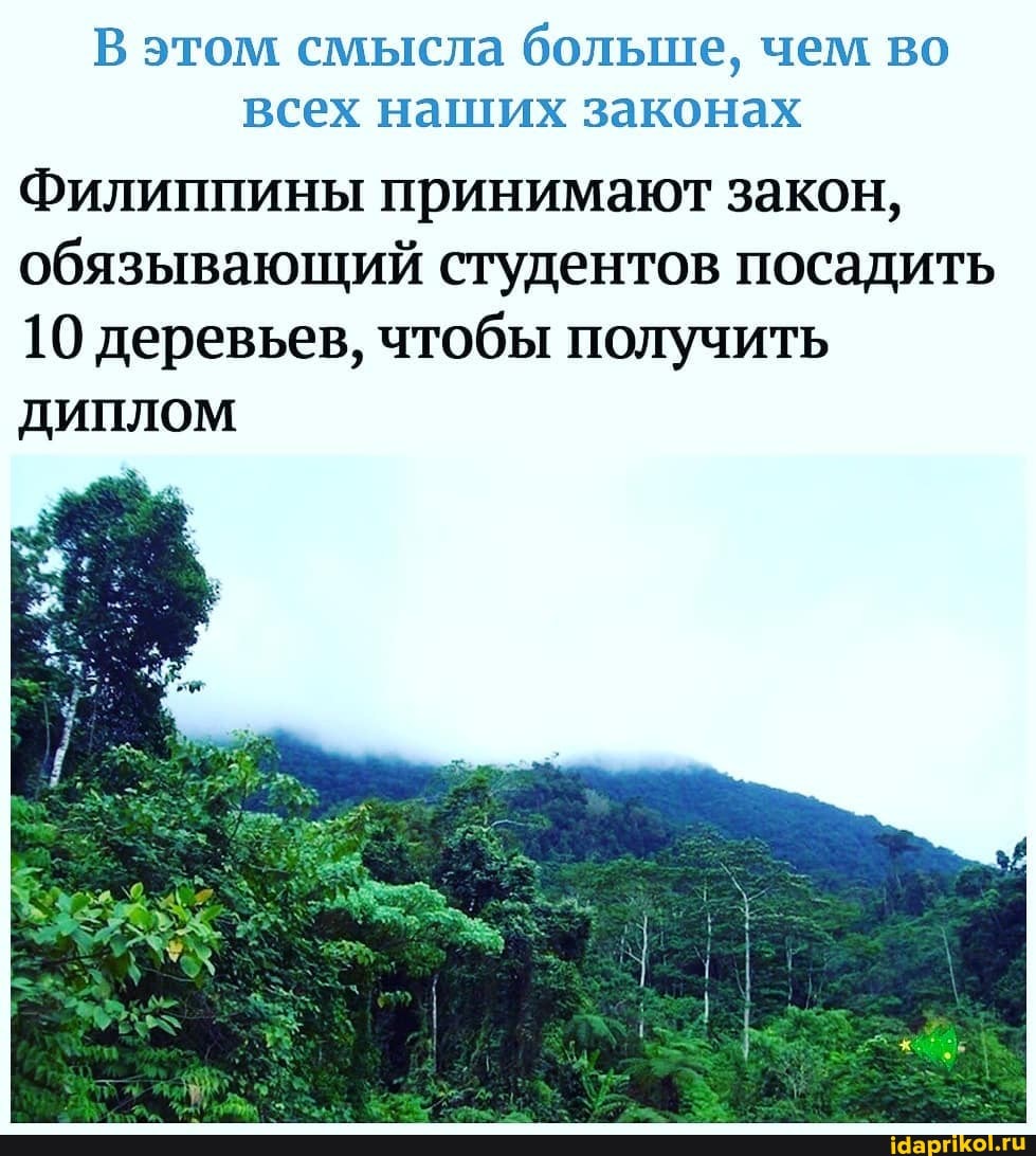 В этом смысла больше, чем во всех наших законах
Филиппины принимают закон, обязывающий студентов посадить
10 деревьев, чтобы получить
диплом