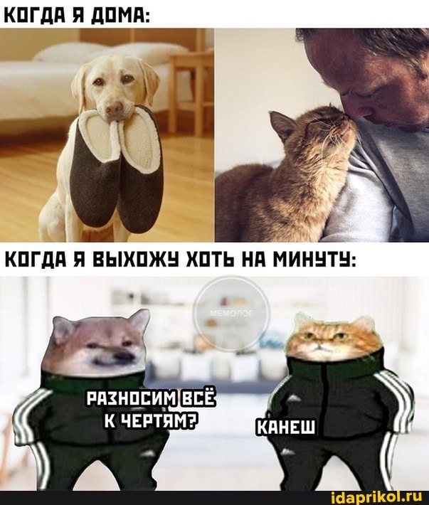 КОГДА Я ДОМА:
КОГДА Я ВЫХОЖУ ХОТЬ НА МИНУТУ:
РАЗНОЕ