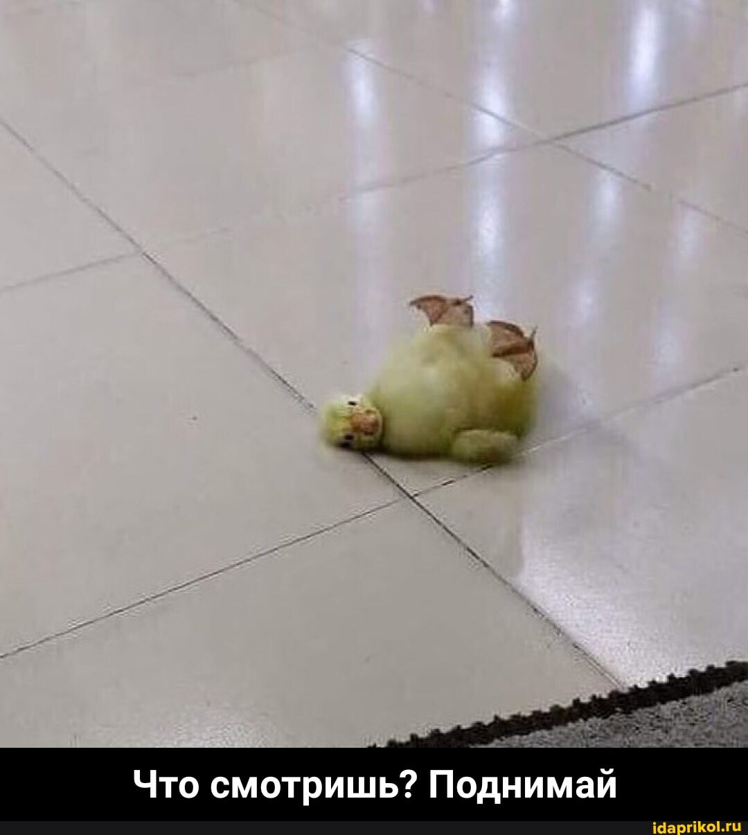 Что смотришь? Поднимай - Что смотришь? Поднимай