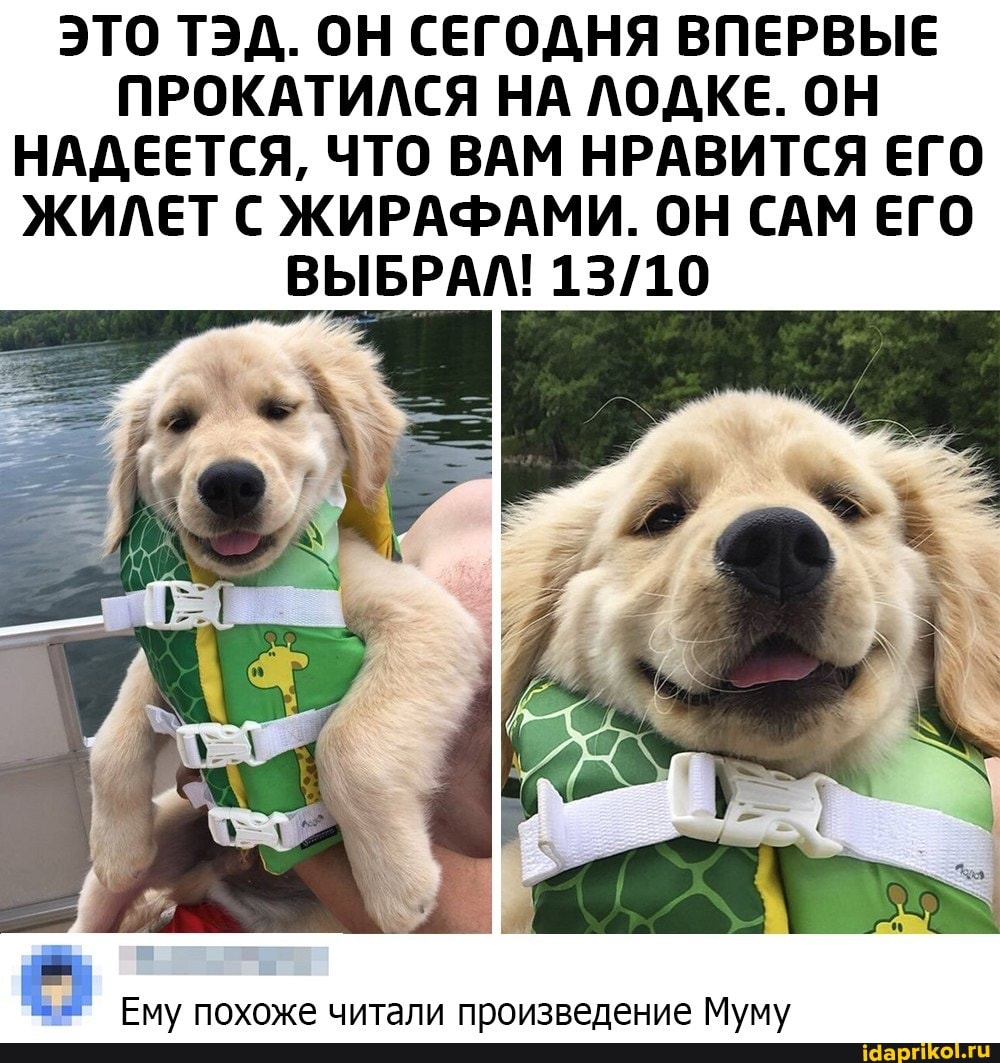 ЭТО ТЭД. ОН СЕГОДНЯ ВПЕРВЫЕ ПРОКАТИЛСЯ НА ЛОДКЕ. ОН НАДЕЕТСЯ, ЧТО ВАМ НРАВИТСЯ ЕГО ЖИЛЕТ С ЖИРАФАМИ. ОН САМ ЕГО ВЫБРАЛ!
Ему похоже читали произведение Муму