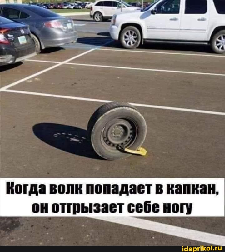 Когда волк попадает в капкан, он отгрызает себе ногу