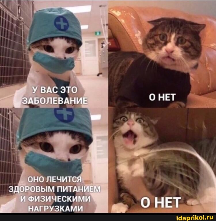 ОНЕТ
ЗАБОЛЕВАНИЕ
лечится
ЗПОРОВЫМ ПИТАНИЕМ
ФИЗИЧЕСКИМИ НАГРУЗКАМИ